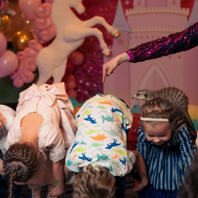 390-191c5db8-bf3f-43d8-aa70-fc4602618e7f