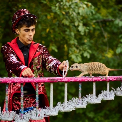 776-c75bb96a-e240-4676-b487-5a2316766234