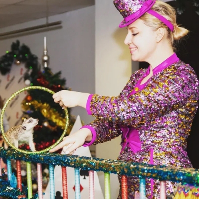 911-b54643db-bd46-4811-bbb2-b133437dee54