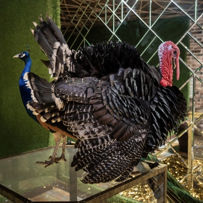 image-07-04-25-04-32-1