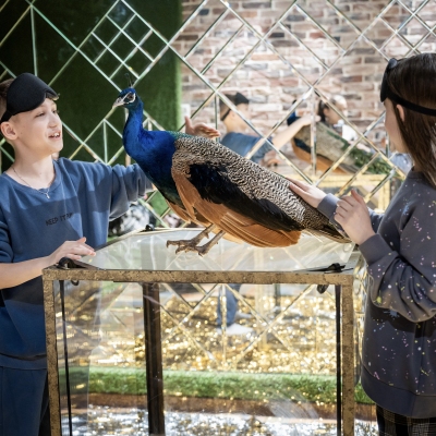 image-07-04-25-04-32-2