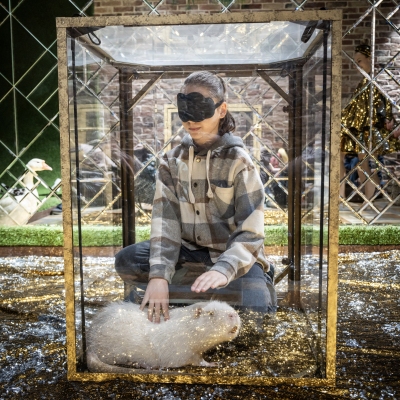 image-07-04-25-04-32-11