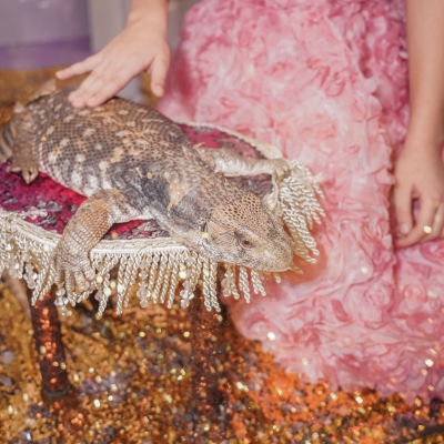 image-07-04-25-04-33