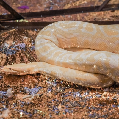 image-07-04-25-04-33-1