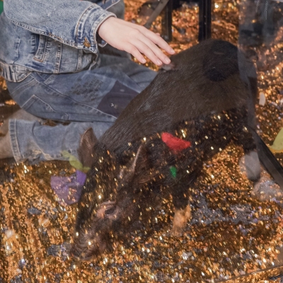 image-07-04-25-04-33-2