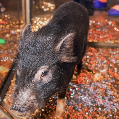 image-07-04-25-04-33-4