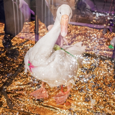 image-07-04-25-04-33-6