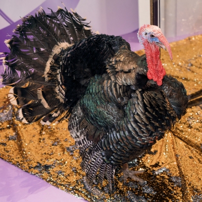 image-07-04-25-04-33-9