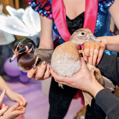 image-07-04-25-04-33-10