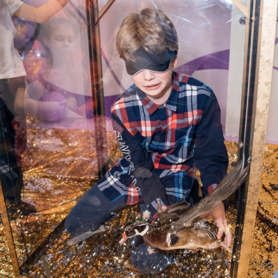 image-07-04-25-04-33-14