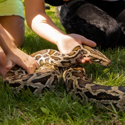 891-843ca4e3-4270-44ee-bff5-b59c2691b3b1