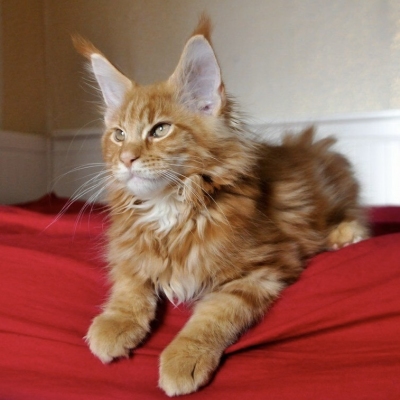 image-14-04-25-10-50