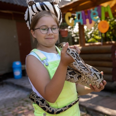 559-27d4d812-1b96-40e4-94fe-d1dbb6339b67