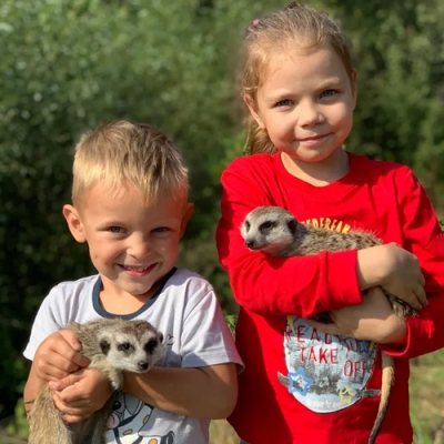 581-438-9d7a564a-ac19-463a-b4e7-d138efb1d8dc