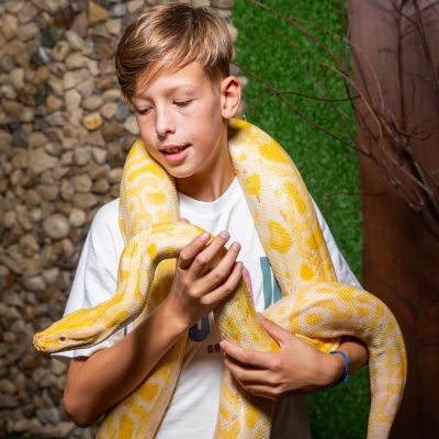 526-4491c7bc-33a8-49da-92bc-081319267671