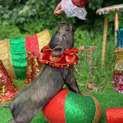 846-b857776f-d6c9-4b32-b22a-2c3e7c04abb1