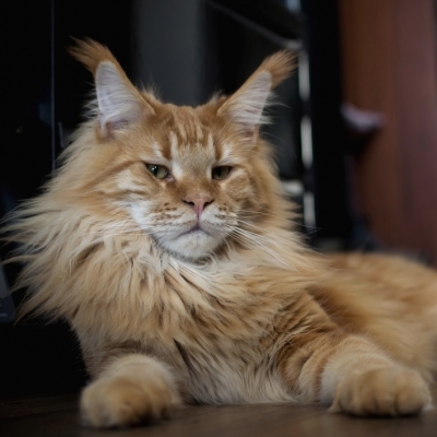 image-14-04-25-10-50-1