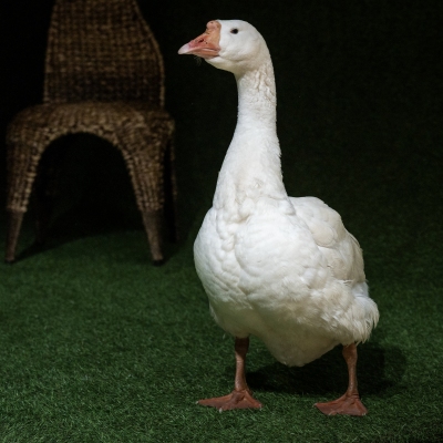 image-07-04-25-04-32-13