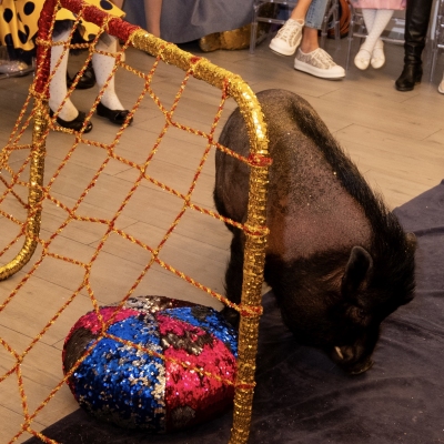 image-30-04-25-10-55-1