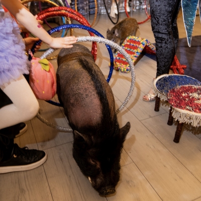 image-30-04-25-10-55-2