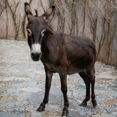 F028B0B6-BF04-4DFC-891E-574584CB23AE